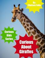 Curious About Giraffes