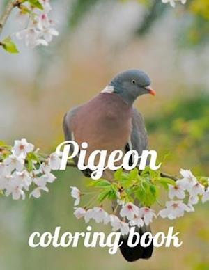 Pigeon coloring book