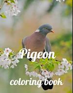 Pigeon coloring book