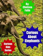 Curious About Elephants