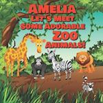 Amelia Let's Meet Some Adorable Zoo Animals!