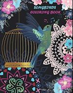 Songbirds coloring book