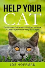Help Your Cat - The Ultimate Guide About Cat Eyes and How to Detect Eye Diseases Early & Act Right