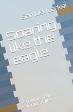 Soaring like the eagle: Growing in the storms of life 