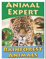 animal expert rainforest animals