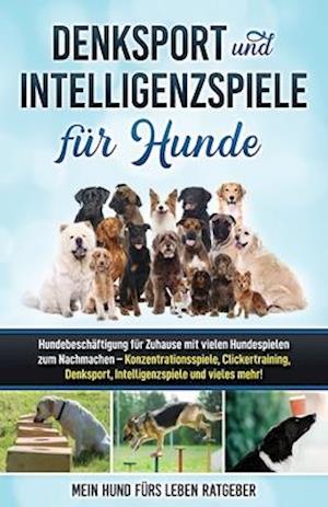 Denksport und Intelligenzspiele für Hunde