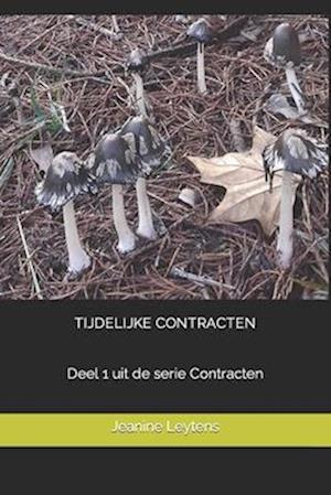 Tijdelijke Contracten