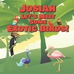 Josiah Let's Meet Some Exotic Birds!