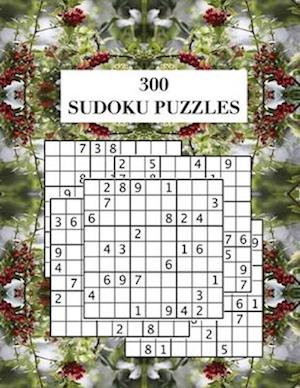 300 Sudoku Puzzles