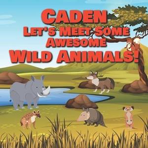 Caden Let's Meet Some Awesome Wild Animals!