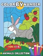 Color By Number For Kids Animals Collection