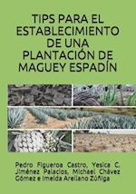 Tips Para El Establecimiento de Una Plantaciónde Maguey Espadín