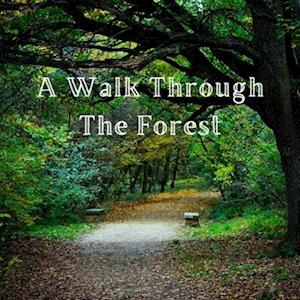 A Walk Through the Forest: A Beautiful Nature Picture Book for Seniors With Alzheimer's or Dementia. This Makes a Wonderful Gift for an Elderly Parent