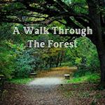 A Walk Through the Forest: A Beautiful Nature Picture Book for Seniors With Alzheimer's or Dementia. This Makes a Wonderful Gift for an Elderly Parent