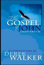 The Gospel of John (Chapters 1-11): A Commentary 