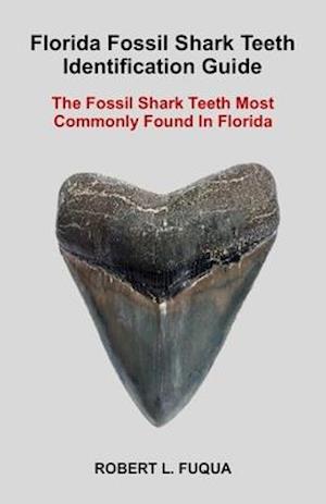 Florida Fossil Shark Teeth Identification Guide