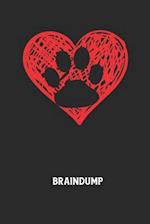 Braindump