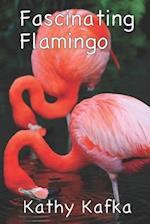 Fascinating Flamingo
