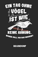 EIN TAG OHNE VÖGEL IST WIE KEINE AHNUNG, WOHER SOLL ICH DAS WISSEN? - Braindump