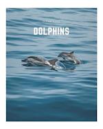 Dolphins