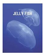 Jelly Fish