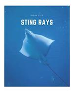 Sting Rays