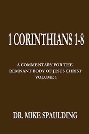 1 Corinthians 1-8