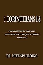 1 Corinthians 1-8