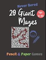 20 Giant Mazes