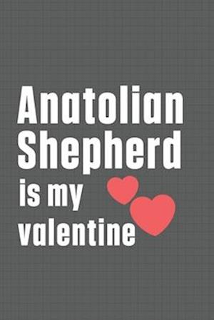 Anatolian Shepherd is my valentine