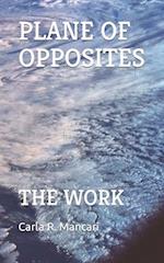 THE PLANE OF OPPOSITES: THE WORK 