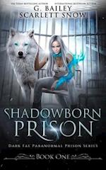 Shadowborn Prison
