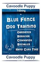 Cavoodle Puppy Training By Blue Fence Dog Training, Obedience - Behavior, Commands - Socialize, Hand Cues Too! Cavoodle Puppy