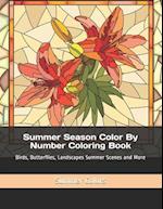 Summer Season Color By Number Coloring Book