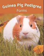 Guinea Pig Pedigree Forms