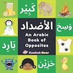 An Arabic Book Of Opposites