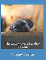 The Adventures of Walter - Be You!