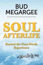 Soul Afterlife: Beyond the Near-Death Experience 