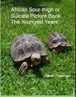 African Spur-thigh or Sulcata Picture Book - The Youngest Years