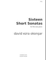 Sixteen Short Sonatas For The Solo Piano