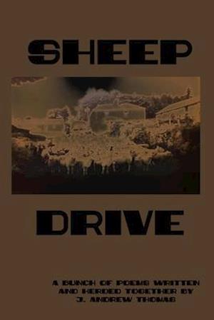 Sheep Drive
