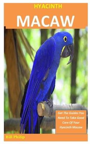 Fugtig hud gidsel Få Hyacinth Macaw af Bill Philip som Paperback bog på engelsk