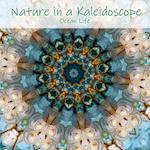 Nature in a Kaleidoscope