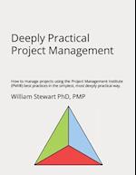 Deeply Practical Project Management: How to manage projects using the Project Management Institute (PMI®) best practices in the simplest, most deeply 