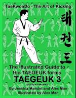 The Illustrated Guide to the TAEGEUK forms - TAEGEUK 3 (TAEGEUK SAM JANG)