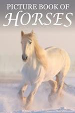 Picture Book of Horses: For Seniors with Dementia [Best Gifts for People with Dementia] 