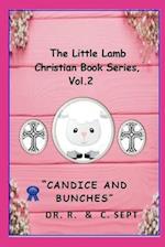 The Little Lamb Christians Book Series