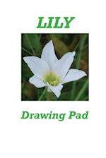 Lily Drawing Pad