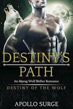 Destiny's Path