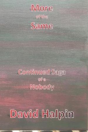 More of the Same: Continued Saga of a Nobody